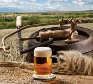 beer ingredients