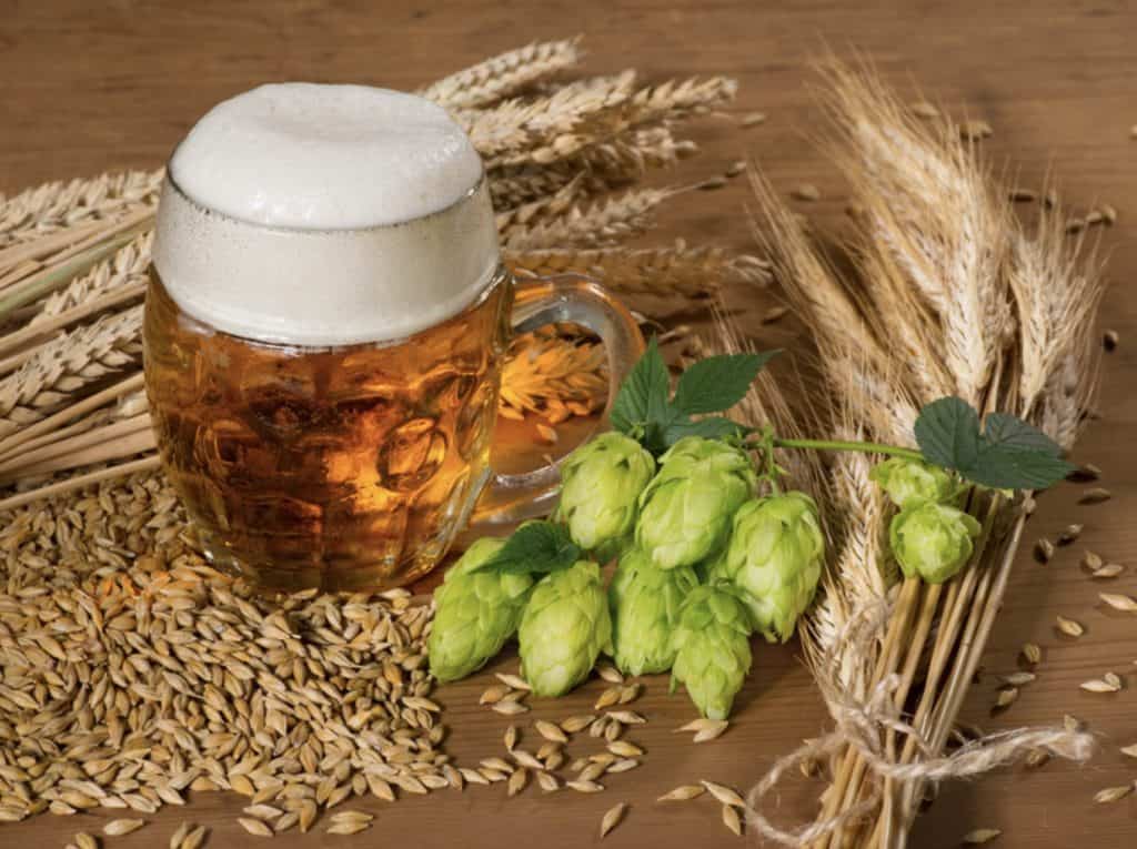 The 4 Main Ingredients in Beer | Know the Contents of Your Beer!