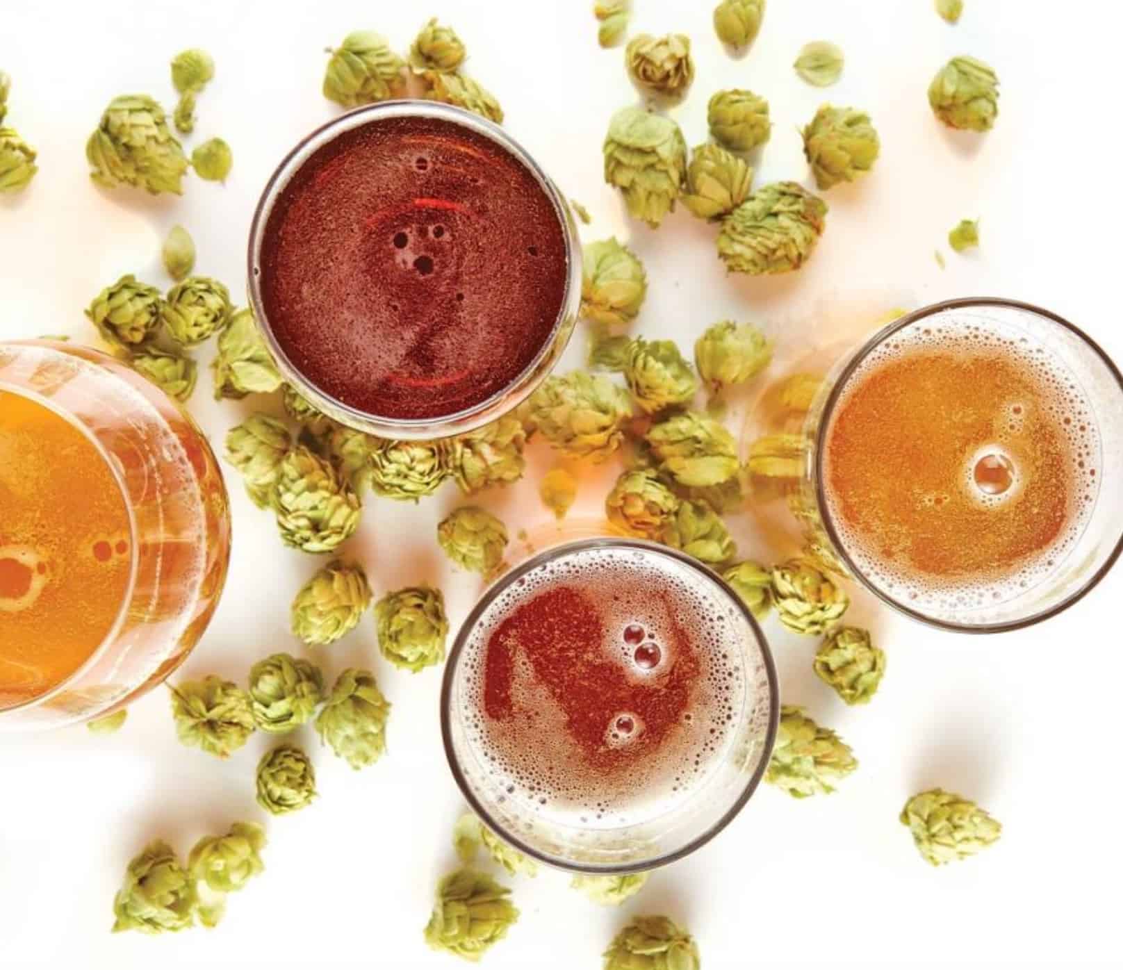 The 52Brews Guide Hop Varieties and How to Use Hops in Brewing