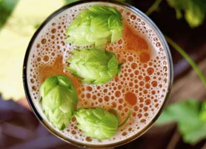 The 52Brews Guide Hop Varieties and How to Use Hops in Brewing