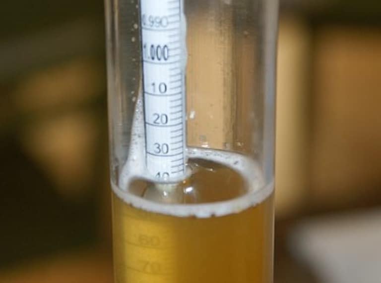 How to Use a Hydrometer to Measure Alcohol in 3 Easy Steps