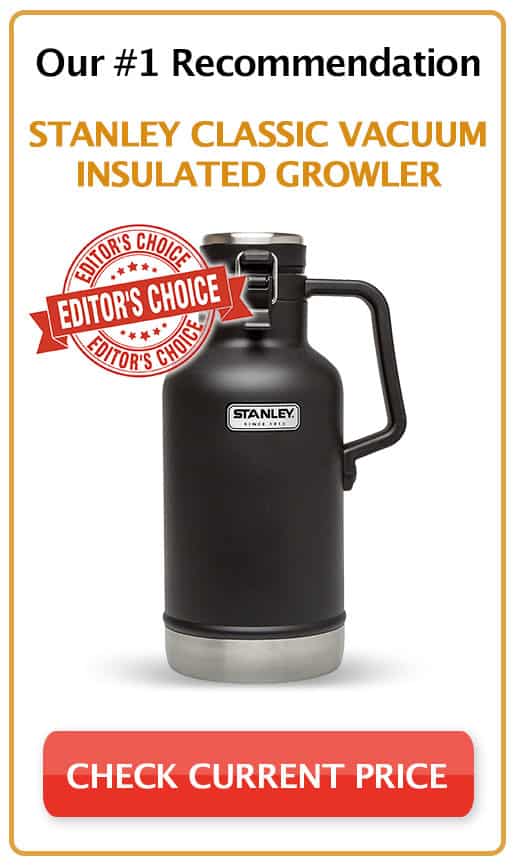 5 Best Beer Growler Reviews Cool & Stylish Bottle Models